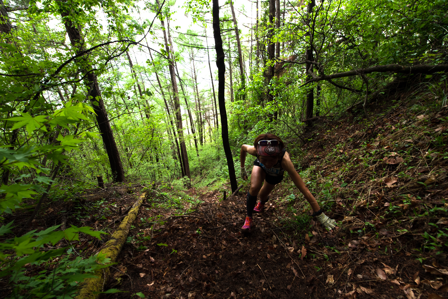 急傾斜の森を駆け登る立石　©UEDA VERTICAL RACE／NAGI MUROFUSHI