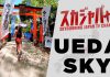 2019 UEDA SKYRACE/上田スカイレース